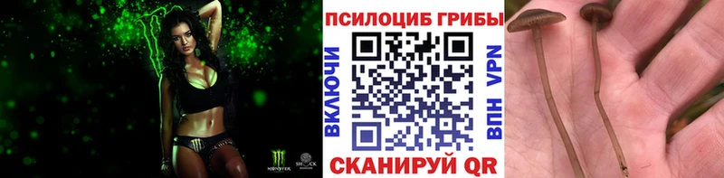 купить наркотики цена  Лангепас  кракен маркетплейс  Псилоцибиновые грибы мицелий 